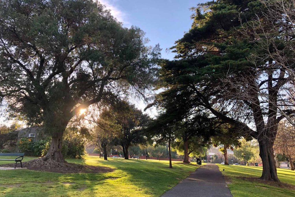 Adelaide park lands and city