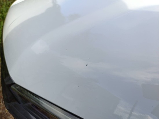 Close-up of paint chips found on the bonnet